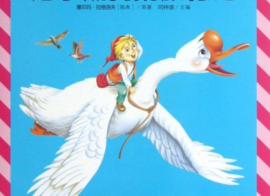 1980《尼尔斯骑鹅旅行记》全52集 国语中字超稀有收藏版 每集约300M  MKV多音轨修复版