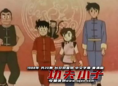 1988年《功夫小子》 台配中文 共20集 普清（下载版无水印，双语中字）