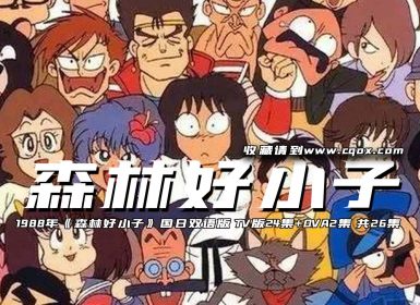 1988年《森林好小子》国日双语版 TV版24集+OVA2集 共26集