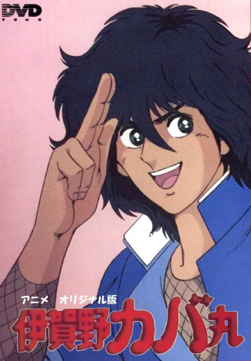 伊賀野カバ丸